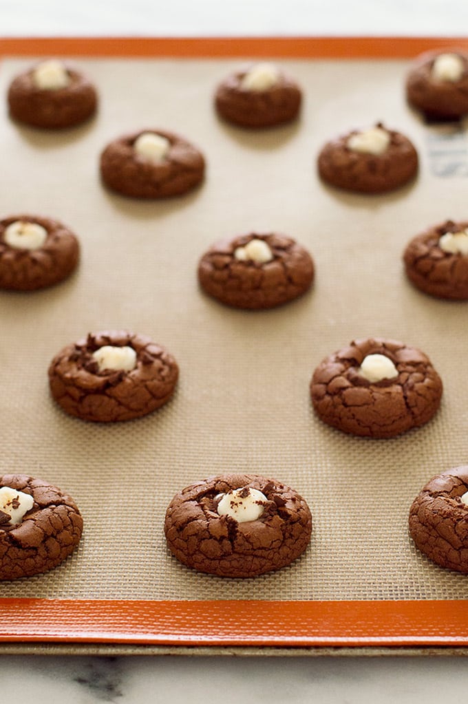 Small-batch Chocolate Mini M&M Cookies - Baking Mischief