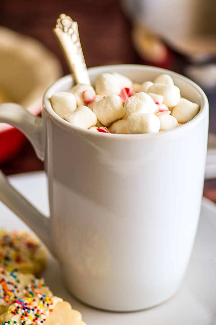 Chocolate Milk for One - Baking Mischief