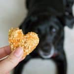 These Carrot Oat Applesauce Treats are quick and easy four-ingredient treats for dogs and horses. From BakingMischief.com