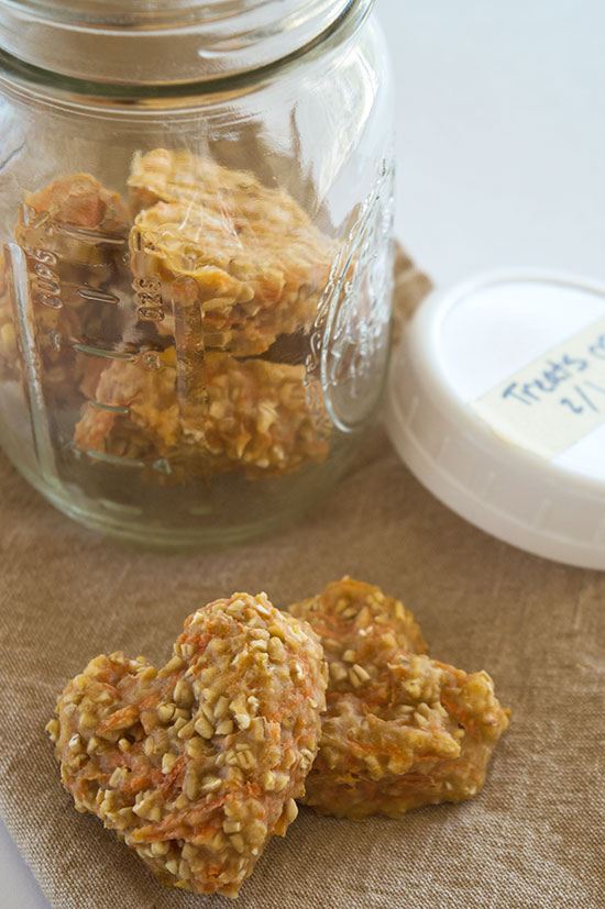 Carrot Oat Applesauce Treats For Dogs