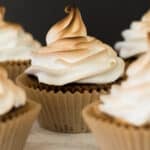 Cupcakes frosted with marshmallow frosting and toasted.
