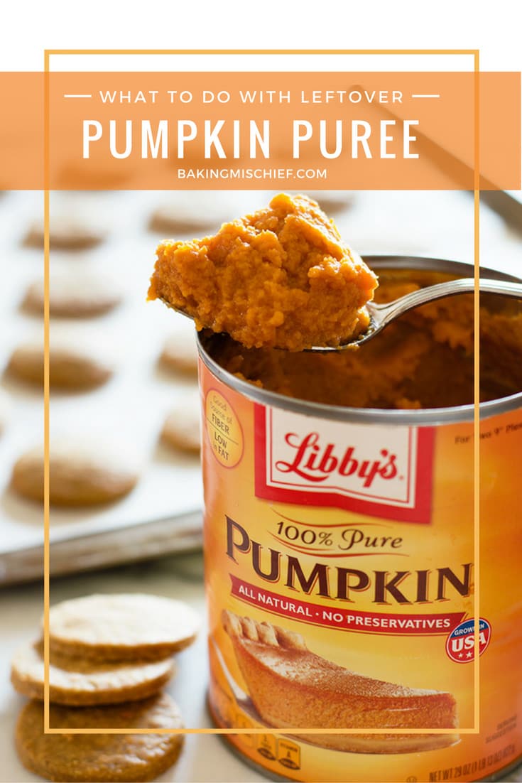 What To Do With Leftover Pumpkin Puree Baking Mischief