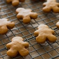 Gingerbread Horse treats and Dog treats are a simple and easy way to show your pets you care this Christmas! From BakingMischief.com