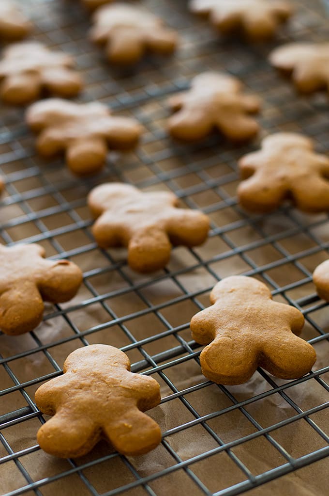 Gingerbread man 2025 dog treats