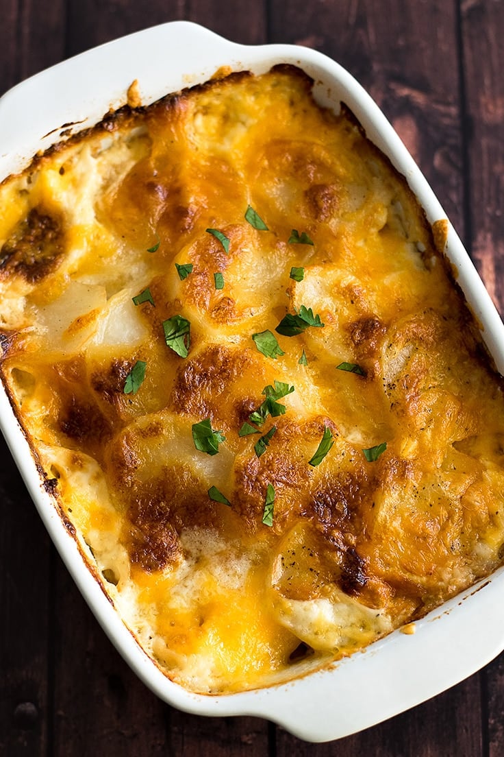 Two Cheesy for Gratin Potato