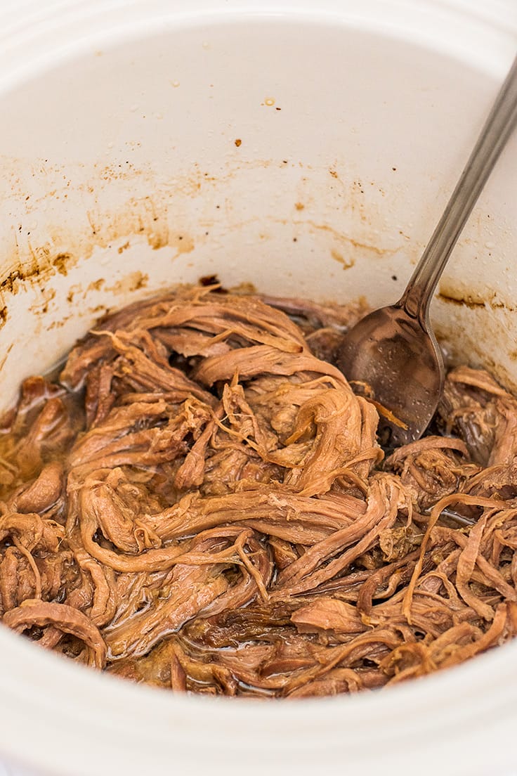 Shredded tri tip instant pot hot sale