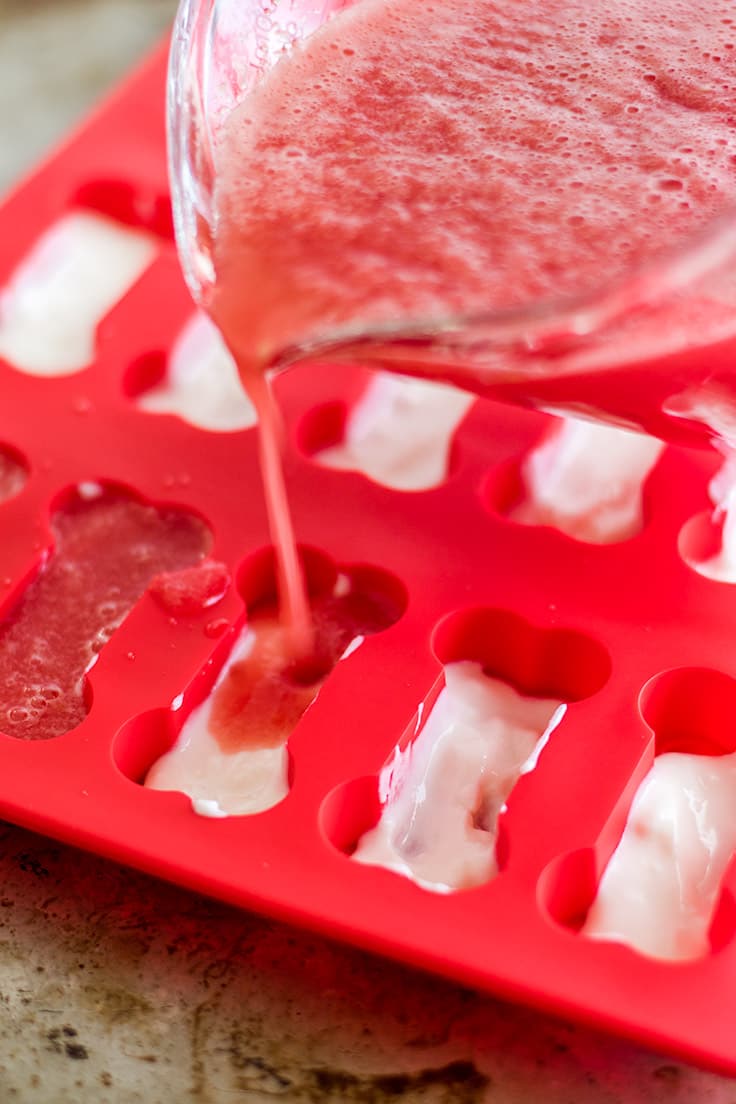 These Frozen Dog Treats are just those two ingredients: pureed watermelon and yogurt.