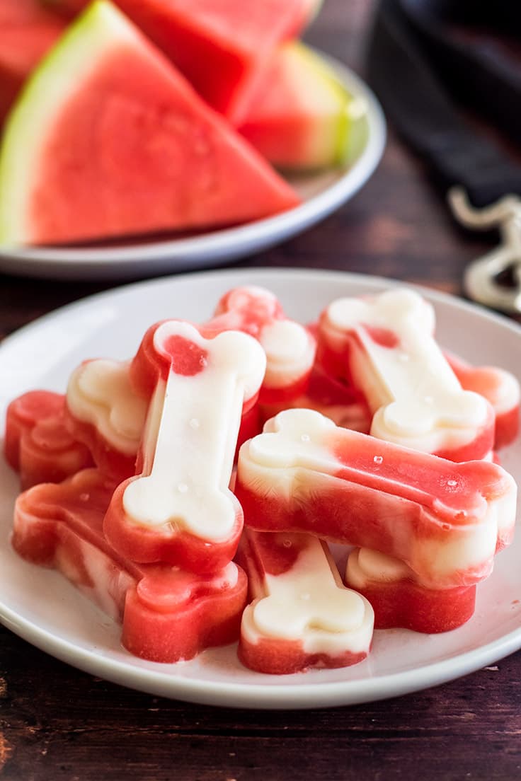 Watermelon and Yogurt Frozen Dog Treats Pupsicles Baking Mischief