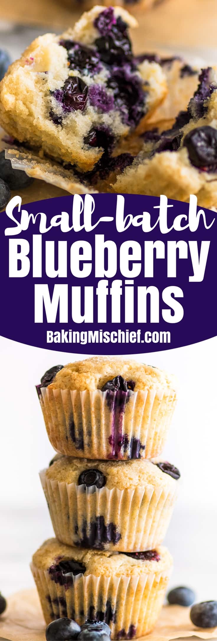 Small batch Blueberry Muffins Baking Mischief small-batch-blueberry-muffins-baking-mischief