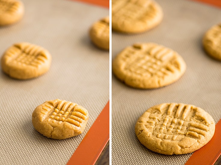 Small Batch Peanut Butter Cookies