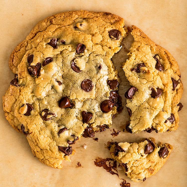 XL Chewy Chocolate Chip Cookie for One {or Two} Recipe