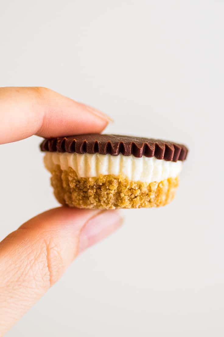Close up picture of one No-bake Cheesecake Bite.