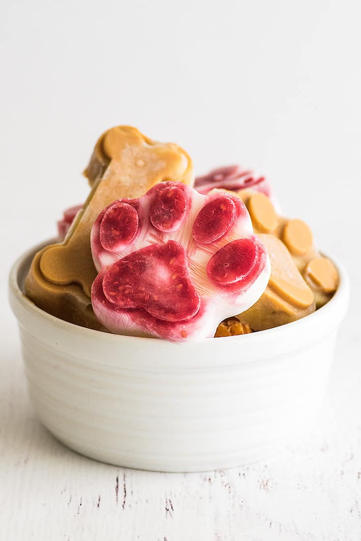 Woof Pupsicle Frozen Dog Treat Mold - Freeze Your Own DIY Dog Treats