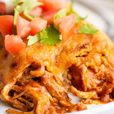 Close photo of chicken enchiladas with sour cream on a plate.