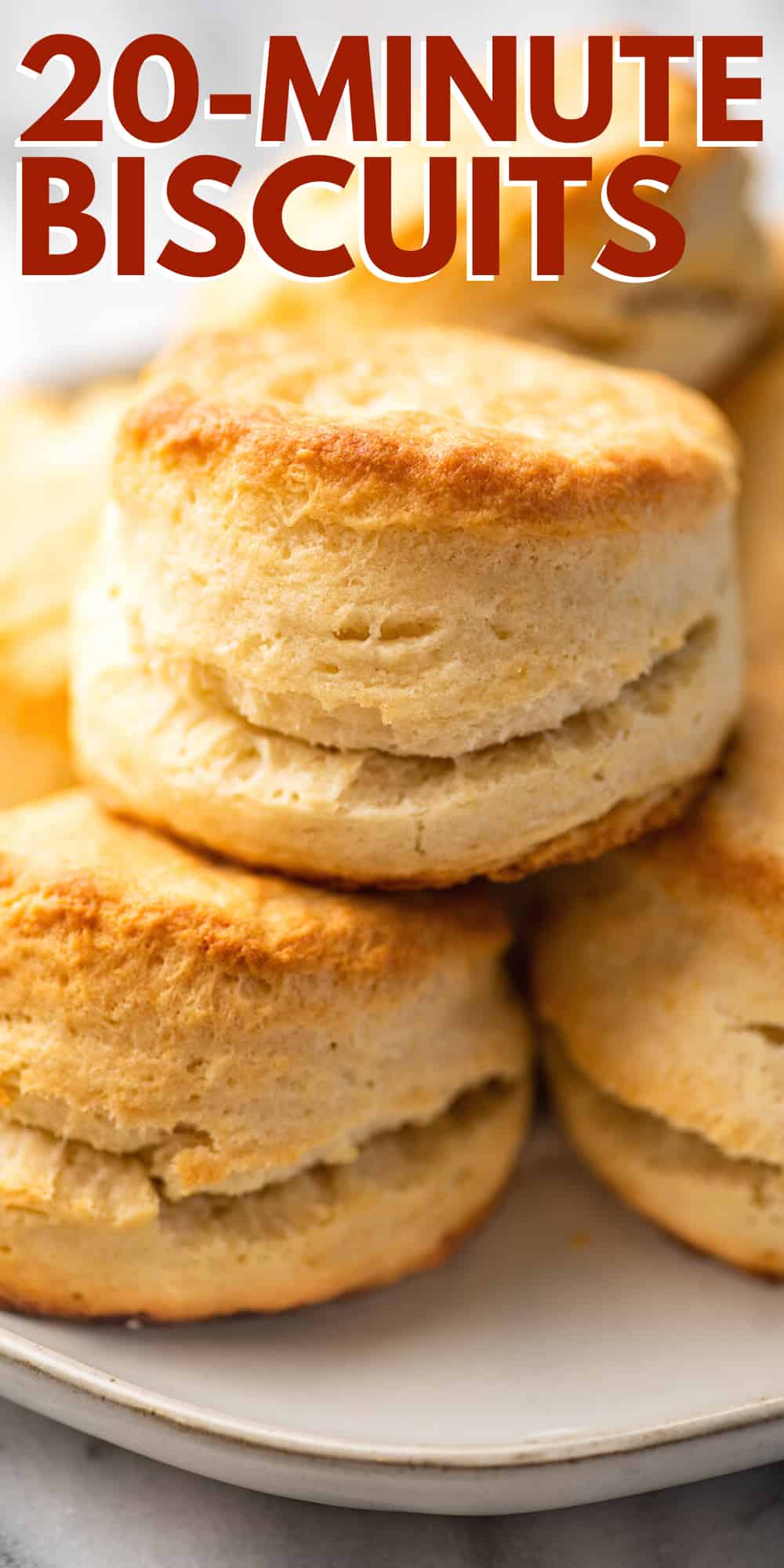 20-minute Cream Biscuits - Baking Mischief