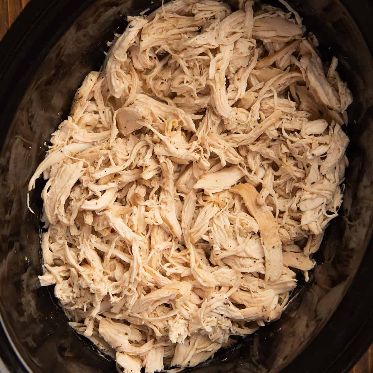 Moist slow cooker shredded chicken on a white plate ready to use in any dish
